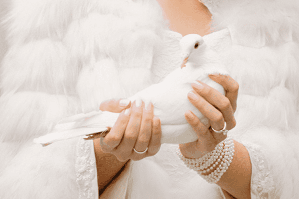Braut hält Hochzeitstaube in ihrer Hand