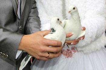 Brautpaar hält weißes Taubenpaar in der Hand