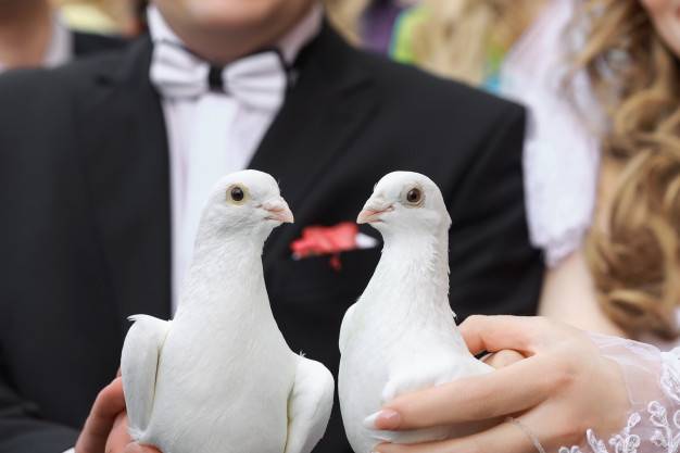 Braut und Bräutigam halten jeweils eine Hochzeitstaube in ihren Händen