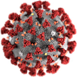 Bild des Corona Virus